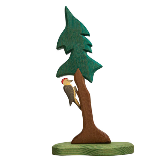 Spruce Tree with Woodpecker and Stand